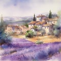 Lavender fields in a rustic village