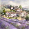 Lavender fields in a rustic village