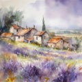 Lavender fields in a rustic village