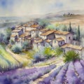 Lavender fields in a rustic village