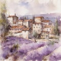 Lavender fields in a rustic village