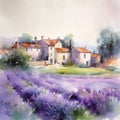 Lavender fields in a rustic village