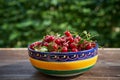 Folkish bowl full of red riped juicy and healthy sour cherries