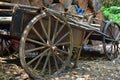 A rustic vintage French farmers cart for transportation of farm produce. Two rusty wheels with a background of grass and hedges. Royalty Free Stock Photo