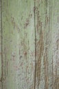 Rustic vintage green painted barn wood wall Royalty Free Stock Photo