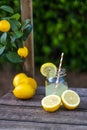 A rustic vintage jar of fresh homemade lemonade with some sliced and whole lemons and some lemon tree branches Royalty Free Stock Photo