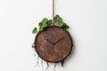 Rustic wall clock with ivy leaves Royalty Free Stock Photo