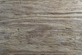 Rustic weathered barn wood background with termites holes. Vintage brown wooden barn oak with cracks and woodgrain. Old wood with Royalty Free Stock Photo