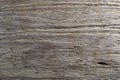 Rustic weathered barn wood background with termites holes. Vintage brown wooden barn oak with cracks and woodgrain. Old wood with Royalty Free Stock Photo