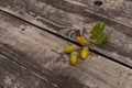 Rustic weathered wood background with acorns and cones fall decoration
