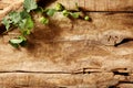 Rustic weathered wood background with greenery