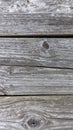 Rustic Weathered Wood Grain Texture with Knots, Close-up Backdrop Royalty Free Stock Photo