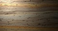 Rustic Weathered Wood Texture with Dramatic Lighting Royalty Free Stock Photo