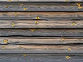 Rustic weathered wooden wall texture with visible knots and grain Royalty Free Stock Photo