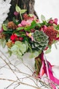 Rustic wedding bouquet with succulents and crimson flowers on the snow next to the tree. Outdoors. Artwork Royalty Free Stock Photo