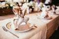 rustic wedding decorations. present for guest as cat toy on table with bagging cloth and blank card Royalty Free Stock Photo