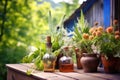 rustic whisky bottles on a wooden table with garden background