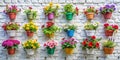 Rustic White Brick Wall with Blooming Flower Pots A Versatile Background for Spring Summer Design Projects Ideal for Royalty Free Stock Photo
