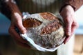 Rustic wholegrain sourdough bread, hands holding fresh loaf Royalty Free Stock Photo