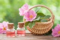 Rustic wicker basket with rose hip flowers and bottles of oil Royalty Free Stock Photo