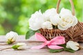 Rustic wicker basket with wild rose flowers and pink ribbon. Royalty Free Stock Photo