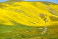 Rustic windmill in Carrizo Plain National Monument during the California superbloom. Rolling hills are carpeted in yellow Royalty Free Stock Photo