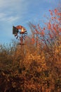 Rustic Windmill in Wood