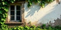 Rustic window framed by verdant vines on a weathered wall with leaf shadows. Generative AI Royalty Free Stock Photo
