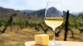 Rustic winery retreat: glass of white wine with cheese, copy space