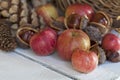 Rustic winter still life with apples Royalty Free Stock Photo