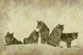 Rustic Wolf Pack Parchment Royalty Free Stock Photo