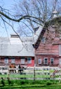 Rustic wood barn and horses Royalty Free Stock Photo