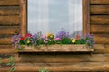 Rustic wood cabin with colorful flowers in the windowbox