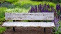 Rustic wood garden bench surrounded by ornamental grasses and the blooming purple flowers of salvia and catmint