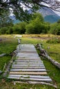 Rustic wood path through marshy area, leading to wooded trail, in Cerro Alarken Nature Reserve Royalty Free Stock Photo