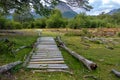 Rustic wood path through marshy area, leading to wooded trail, in Cerro Alarken Nature Reserve, Ushuaia, Argentina Royalty Free Stock Photo