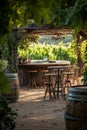 A rustic wood patio, barrels, a stony path, and a lush garden. Royalty Free Stock Photo