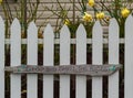 rustic wood sign says (stop and smell roses) in rustic wooden white fence background with yellow roses Royalty Free Stock Photo