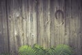 Rustic wood wall vintage countryside cabin fence background with fern leaves and horseshoe for luck v