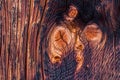 Rustic wooden background texture: Knothole Royalty Free Stock Photo