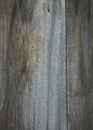 Rustic Wooden Barnboard Background From Old Barn Royalty Free Stock Photo