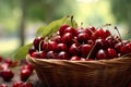rustic wooden basket is filled to the brim with plump, ripe cherries.