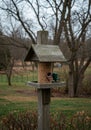Rustic Wooden Bird Feeder in Winter Landscape Royalty Free Stock Photo