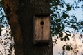 Rustic wooden birdhouse mounted on a tree trunk in the Estonian forest during a peaceful evening Royalty Free Stock Photo