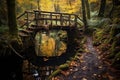 rustic wooden bridge over a calm stream in autumn forest