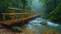 A rustic wooden bridge over a forest stream Royalty Free Stock Photo