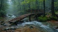 A rustic wooden bridge over a forest stream Royalty Free Stock Photo