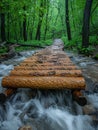 A rustic wooden bridge over a forest stream Royalty Free Stock Photo