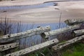 Rustic Wooden Fence Lookout Point With View of Birds on a Sandy Lagoon, at San Gregorio Beach, California