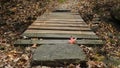 Devils Den State Park, Arkansas, mountain footbridge with autumn leaves